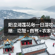 阳澄湖莲花岛一日游攻略：吃蟹+自驾+农家乐体验全记录（图1）