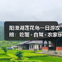 阳澄湖莲花岛一日游攻略：吃蟹+自驾+农家乐体验全记录（图4）