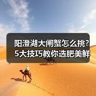 阳澄湖大闸蟹怎么挑？5大技巧教你选肥美鲜嫩的好蟹（图2）