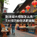 阳澄湖大闸蟹怎么挑？5大技巧教你选肥美鲜嫩的好蟹（图1）