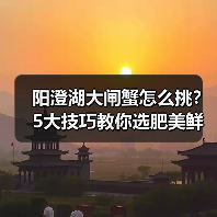 阳澄湖大闸蟹怎么挑？5大技巧教你选肥美鲜嫩的好蟹（图3）