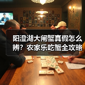 阳澄湖大闸蟹真假怎么辨？农家乐吃蟹全攻略（图1）
