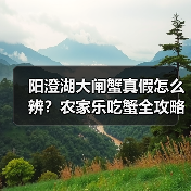 阳澄湖大闸蟹真假怎么辨？农家乐吃蟹全攻略（图3）