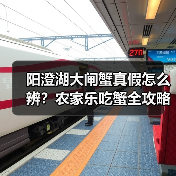 阳澄湖大闸蟹真假怎么辨？农家乐吃蟹全攻略（图4）