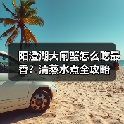 阳澄湖大闸蟹怎么吃最香?清蒸水煮全攻略(图4) 阳澄湖大闸蟹怎么吃最香?清蒸水煮全攻略(图4)