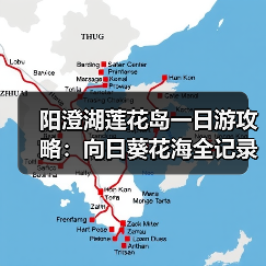 阳澄湖莲花岛一日游攻略：向日葵花海全记录（图1）