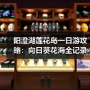 阳澄湖莲花岛一日游攻略：向日葵花海全记录（图2）