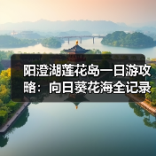 阳澄湖莲花岛一日游攻略：向日葵花海全记录（图3）