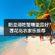 阳澄湖吃蟹哪里最好?莲花岛农家乐推荐(图3) 阳澄湖吃蟹哪里最好?莲花岛农家乐推荐(图3)