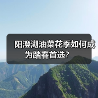 阳澄湖油菜花季如何成为踏春首选？（图2）
