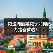 阳澄湖油菜花季如何成为踏春首选？（图3）