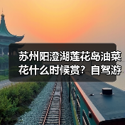 苏州阳澄湖莲花岛油菜花什么时候赏？自驾游攻略（图2）