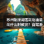 苏州阳澄湖莲花岛油菜花什么时候赏？自驾游攻略（图3）