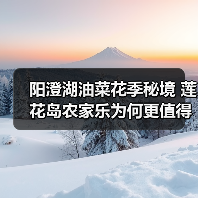 阳澄湖油菜花季秘境 莲花岛农家乐为何更值得打卡?(图4) 阳澄湖油菜花季秘境 莲花岛农家乐为何更值得打卡?(图4)