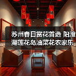 苏州春日赏花首选 阳澄湖莲花岛油菜花农家乐一日游（图4）