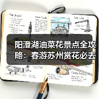 阳澄湖油菜花景点全攻略：春游苏州赏花必去（图2）