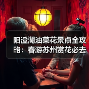 阳澄湖油菜花景点全攻略：春游苏州赏花必去（图1）