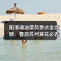 阳澄湖油菜花景点全攻略：春游苏州赏花必去（图3）