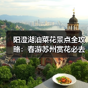 阳澄湖油菜花景点全攻略：春游苏州赏花必去（图4）