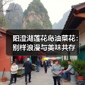 阳澄湖莲花岛油菜花：别样浪漫与美味共存（图2）