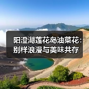 阳澄湖莲花岛油菜花：别样浪漫与美味共存（图3）