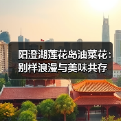 阳澄湖莲花岛油菜花：别样浪漫与美味共存（图4）