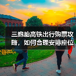 三胞胎高铁出行购票攻略，如何合理安排座位与票务？（图3）