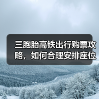 三胞胎高铁出行购票攻略，如何合理安排座位与票务？（图4）