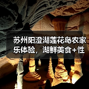 苏州阳澄湖莲花岛农家乐体验,湖鲜美食+性价比之选!(图3) 苏州阳澄湖莲花岛农家乐体验,湖鲜美食+性价比之选!(图3)