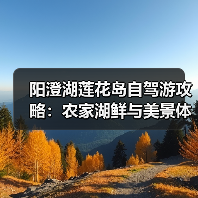 阳澄湖莲花岛自驾游攻略：农家湖鲜与美景体验（图2）