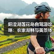 阳澄湖莲花岛自驾游攻略：农家湖鲜与美景体验（图4）
